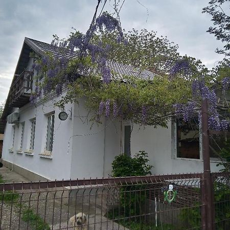 Casa Mocanu Giurgiu Ngoại thất bức ảnh