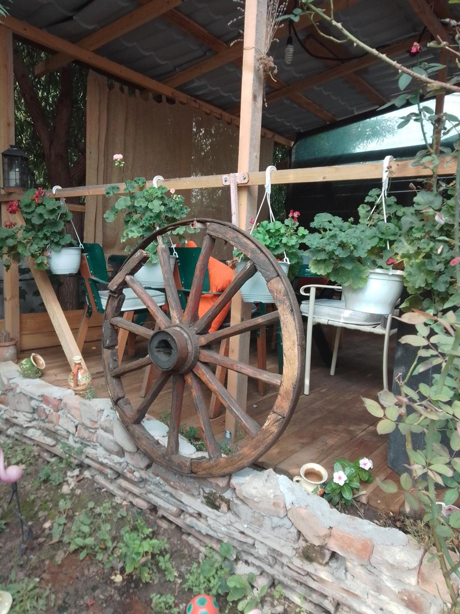 Casa Mocanu Giurgiu Ngoại thất bức ảnh